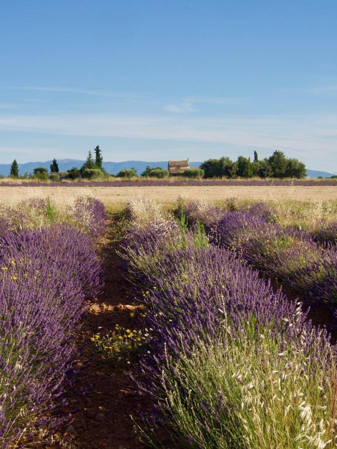 Apartmán Verdon Secret - L'Escapade Parfaite Gréoux-les-Bains Exteriér fotografie