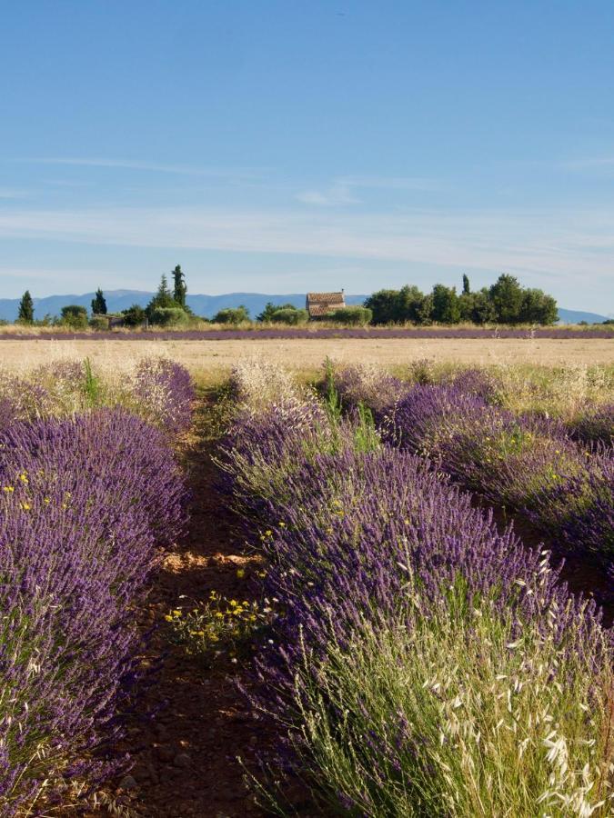 Verdon Secret - L'Escapade Parfaite Gréoux-les-Bains Exteriér fotografie